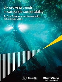 Raport „Six growing trends in corporate sustainability”