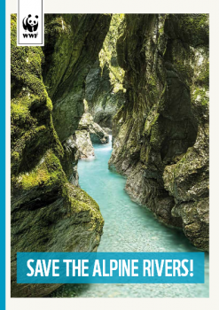 Raport „Save the Alpine Rivers” – WWF
