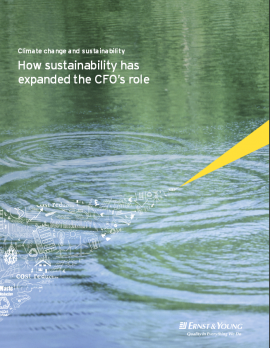 „How Sustainability has Expanded the CFO’s Role