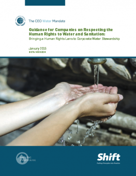 Guidance for Companies on Respecting the Human Rights to Water and Sanitation: Bringing a Human Rights Lens to Corporate Water Stewardship