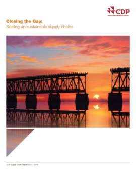 Closing the Gap: Scaling up sustainable supply chains