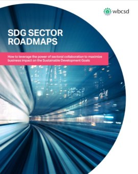 SDG Sector Roadmaps