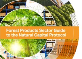 Forest Products Sector Guide and Case Studies
