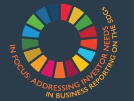 In Focus: Addressing Investor Needs in Business Reporting on the SDGs