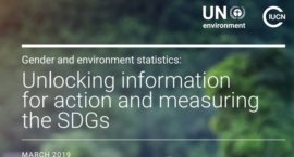 Gender and environment statistics: Unlocking information for action and measuring the SDGs