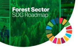 Forest Sector SDG Roadmap