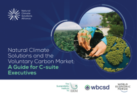 Natural Climate Solutions and the Voluntary Carbon Market: A Guide for C-suite Executives