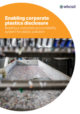 Enabling corporate plastics disclosure: Building a corporate accountability system for plastic pollution